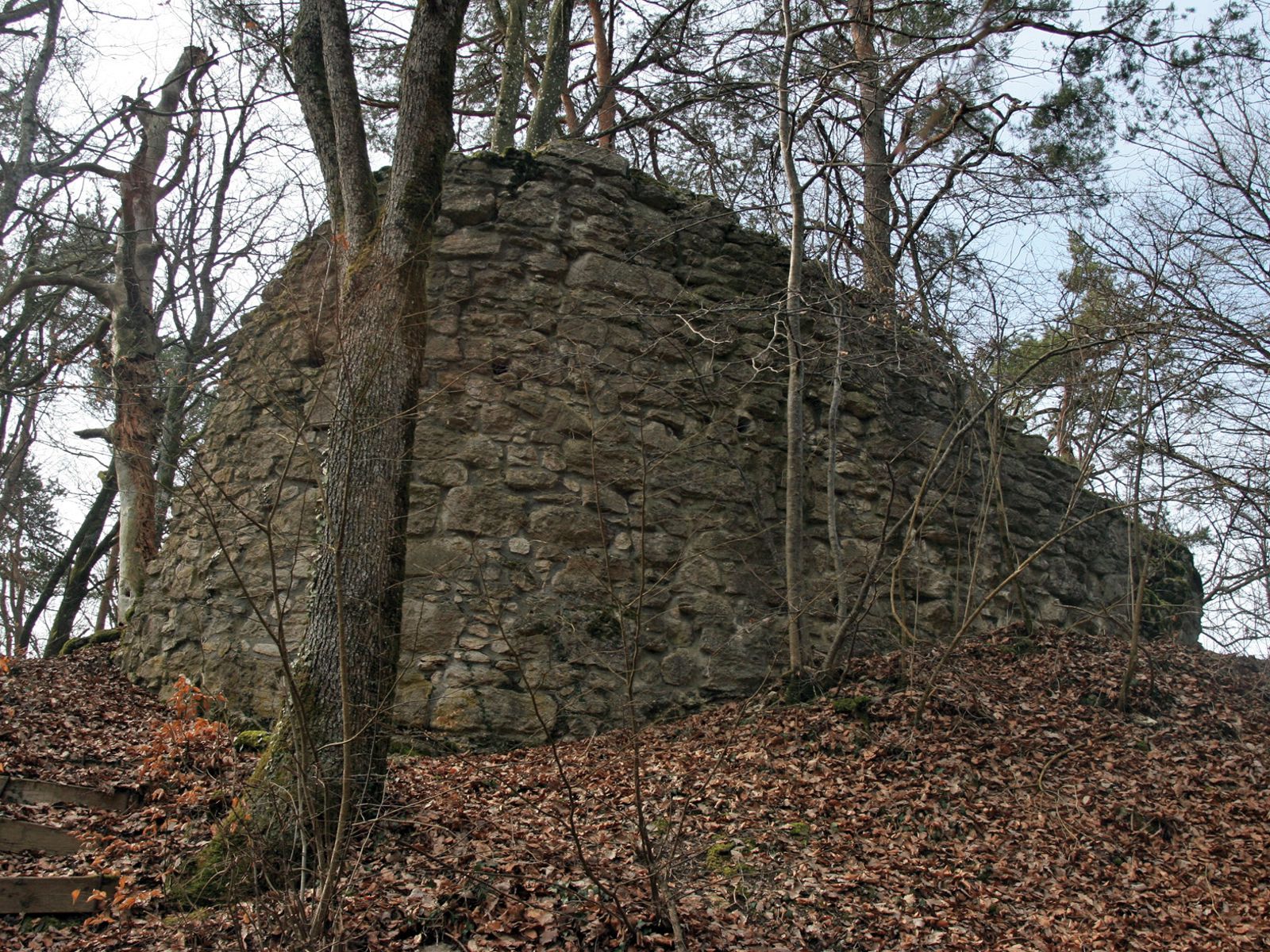                                                     Ruine Krenkingen                                    
